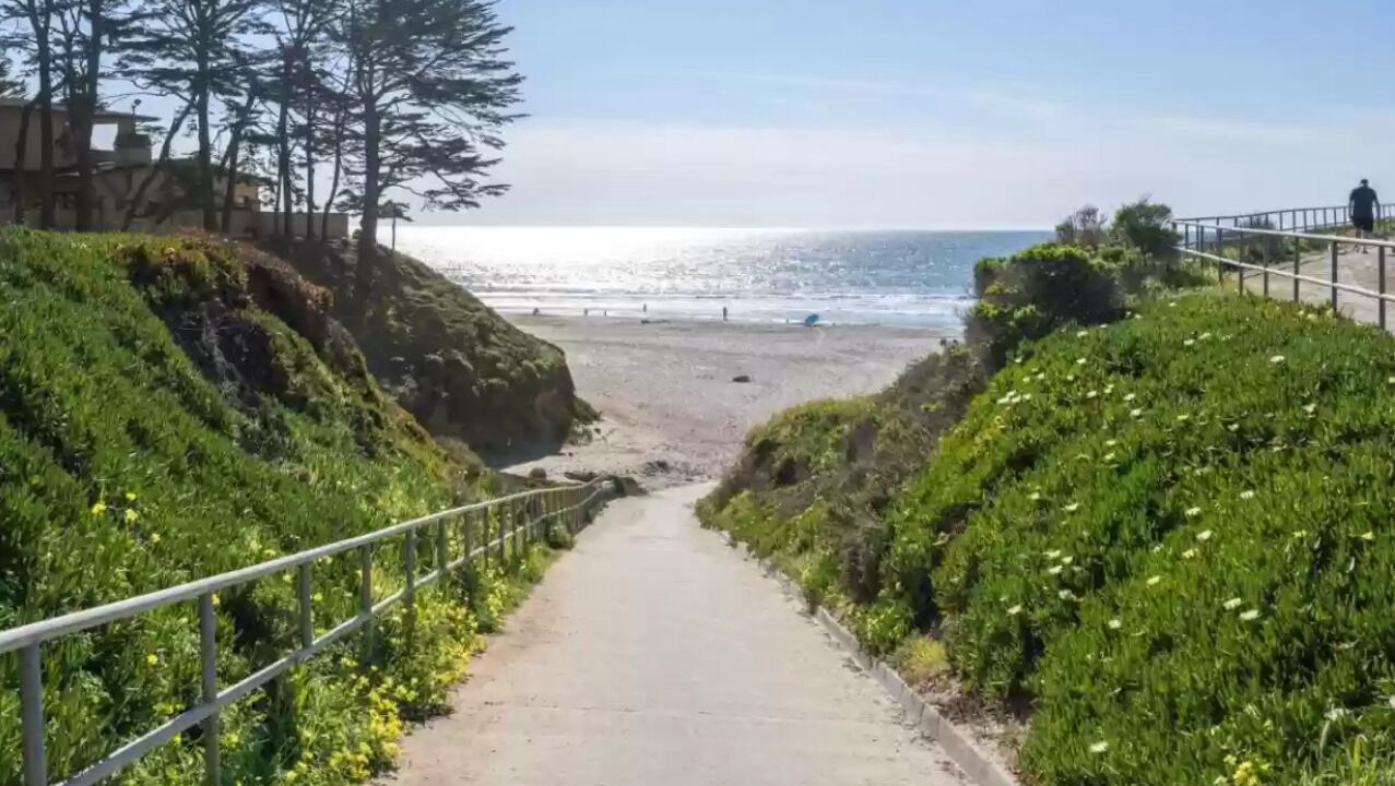 Photo of Others in La Selva Beach