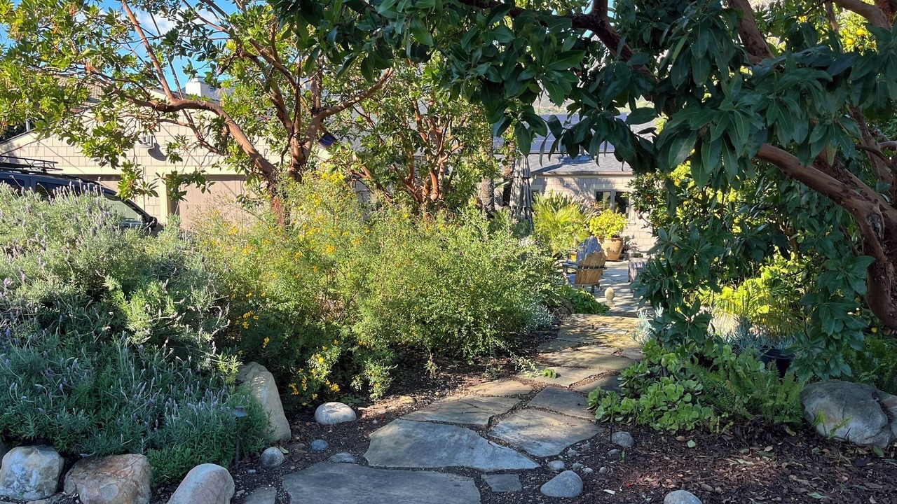 Photo of Outdoor in Mission Canyon
