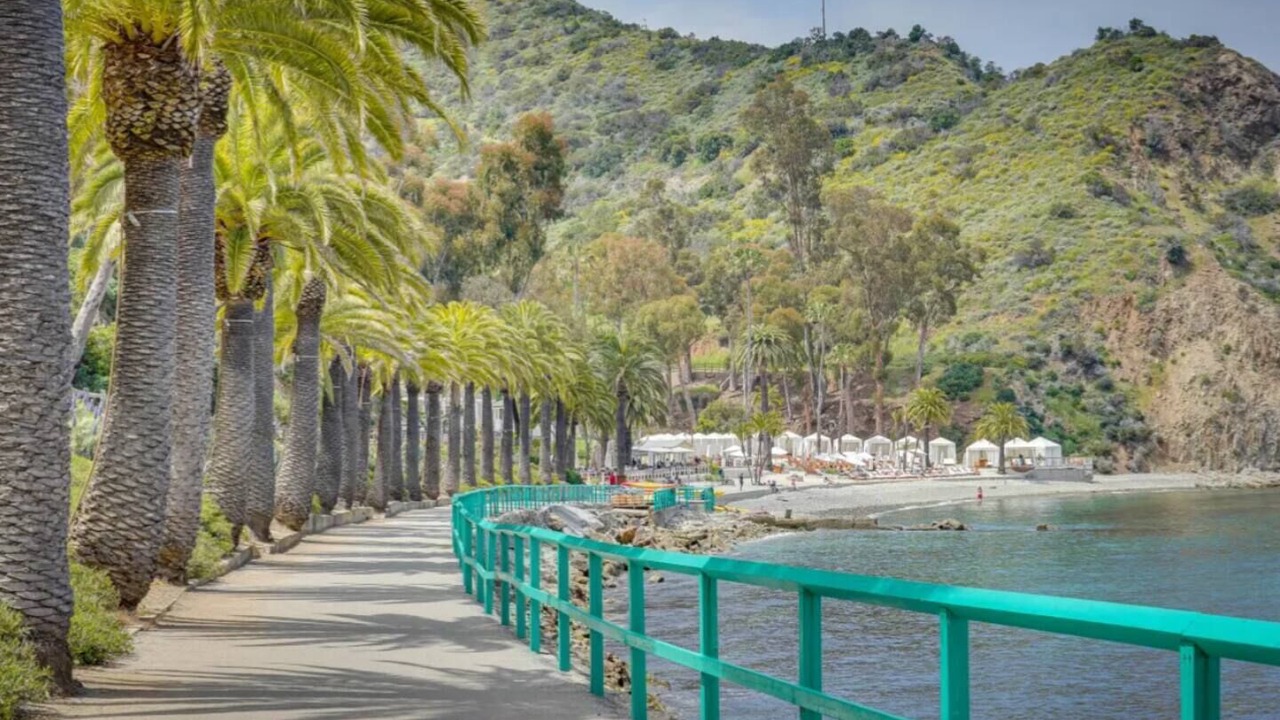 Photo of Others in Avalon