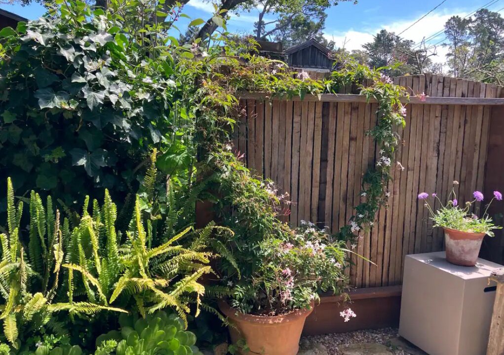 Photo of Outdoor in Northwest Carmel