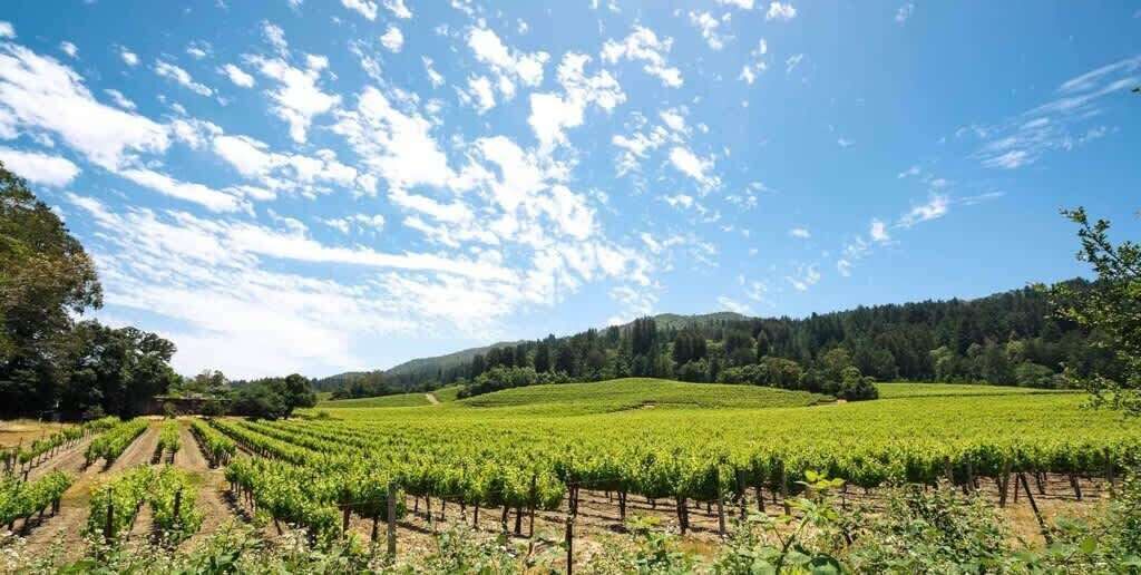 Photo of Others in Glen Ellen