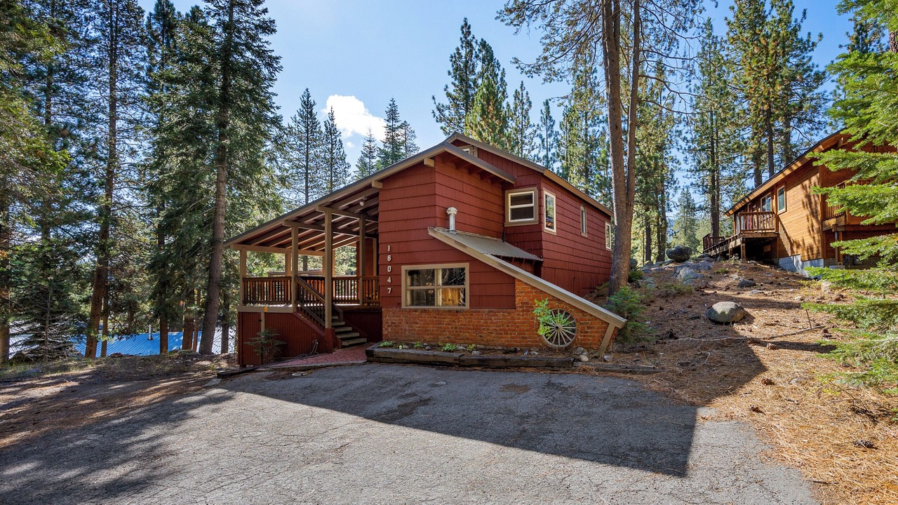 Photo of Others in Donner Lake Woods