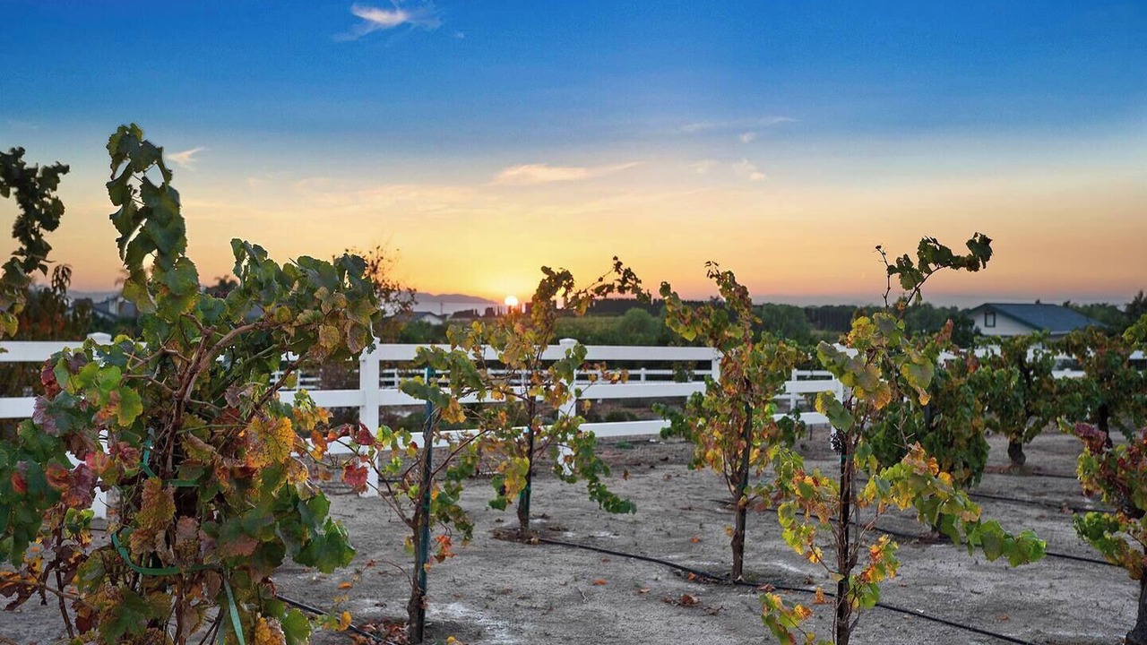 Photo of Outdoor in Temecula