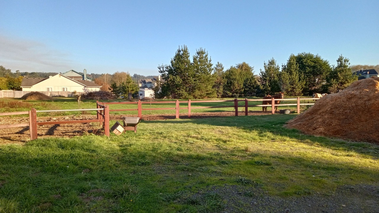 Photo of Outdoor in McKinleyville