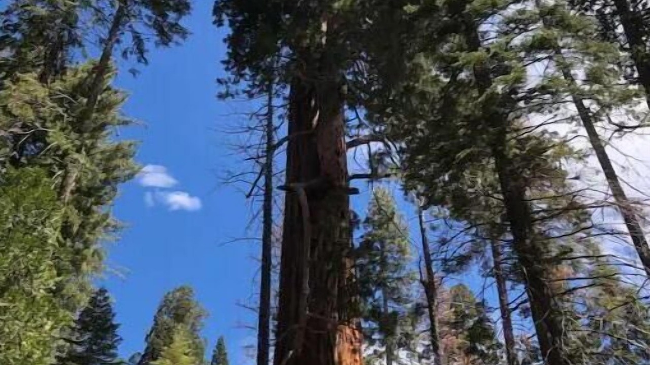 Photo of Others in California Hot Springs