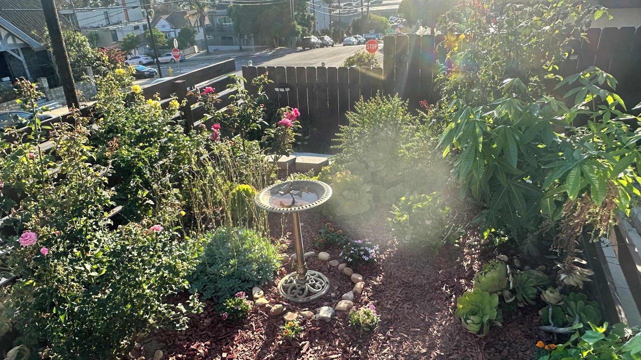 Photo of Outdoor in Bankers Hill