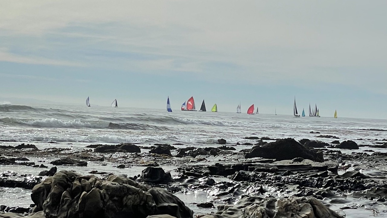 Photo of Others in Riviera