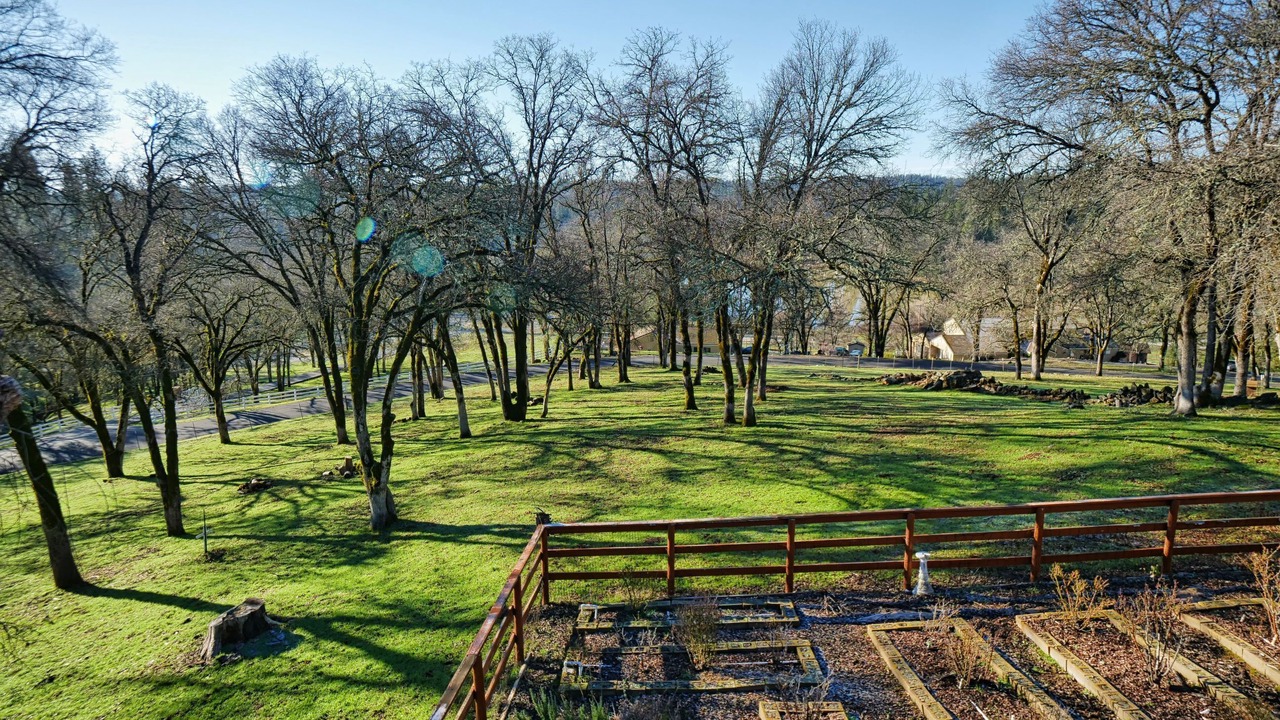 Photo of Outdoor in Iowa Hill