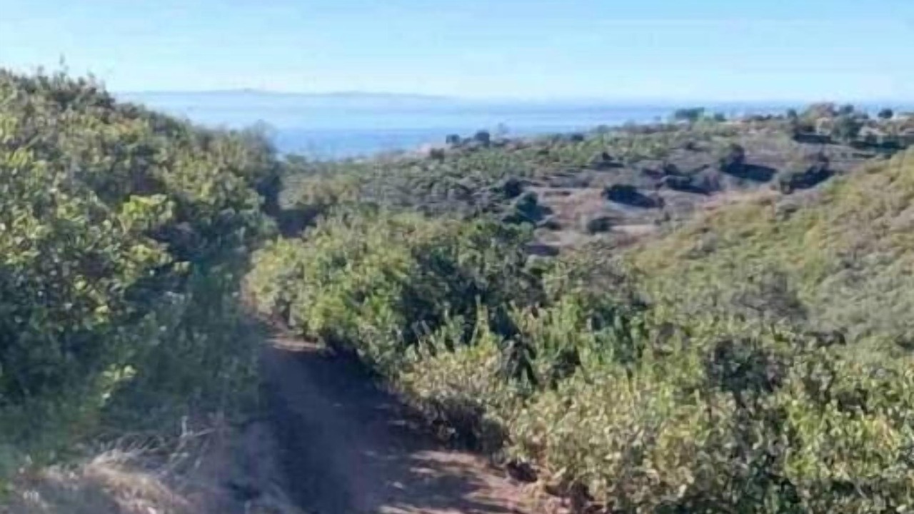Photo of Outdoor in Summerland
