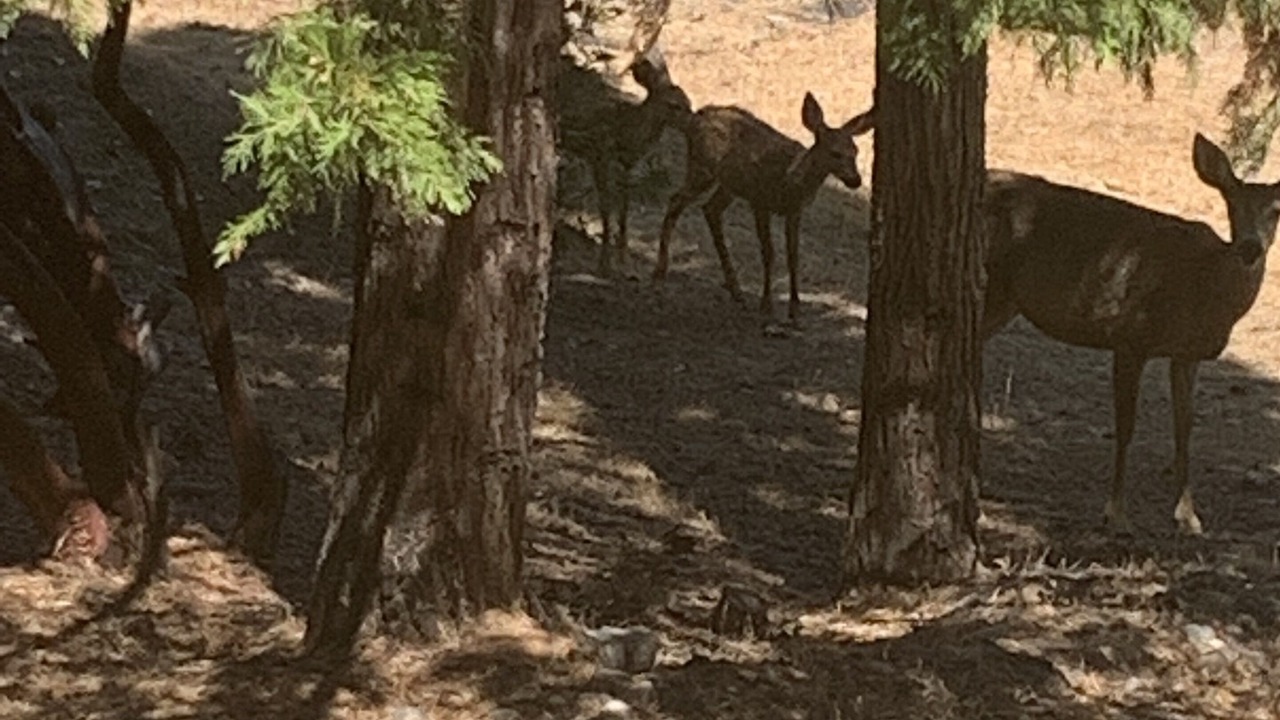 Photo of Others in Groveland