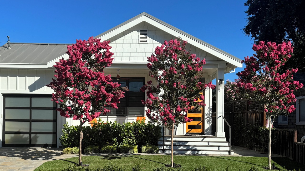 Photo of Outdoor in St. Helena
