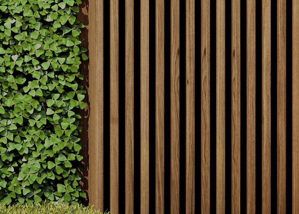 Photo of Outdoor in Rancho Penasquitos
