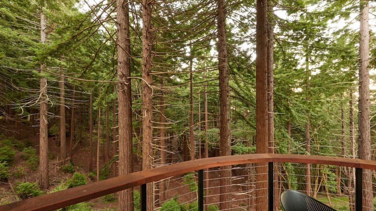 Photo of Outdoor in Occidental