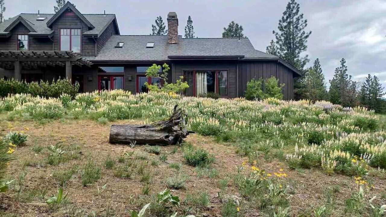 Photo of Outdoor in Gold Mountain