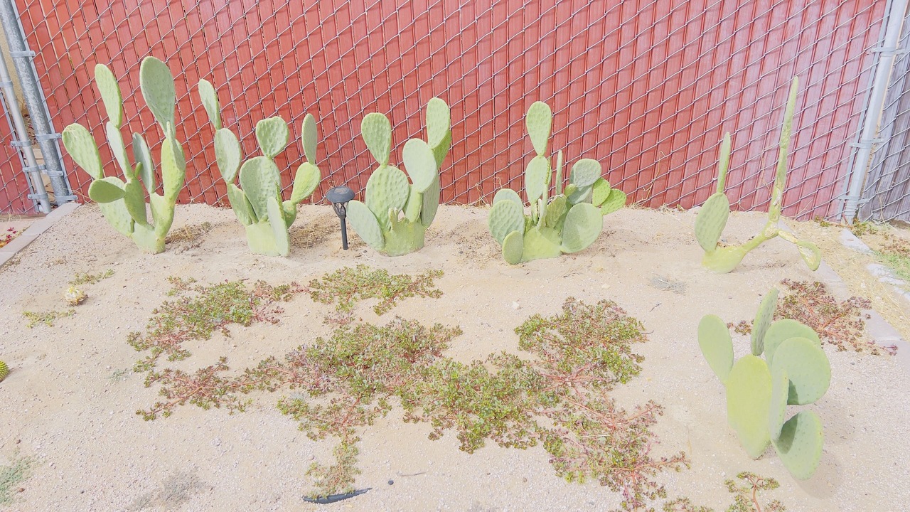 Photo of Outdoor in Ridgecrest