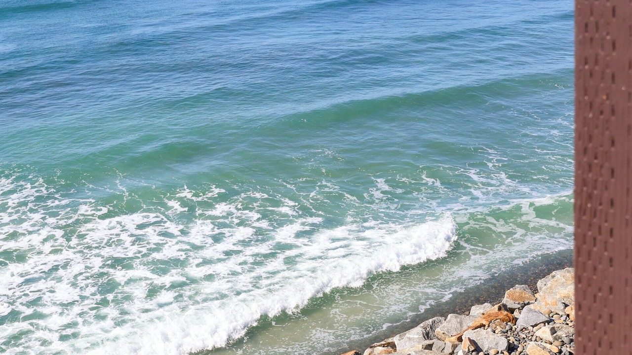 Photo of Others in South Oceanside