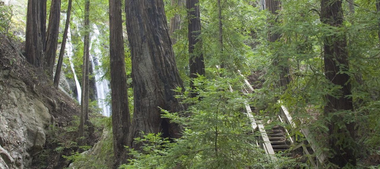 Photo of Outdoor in Carmel