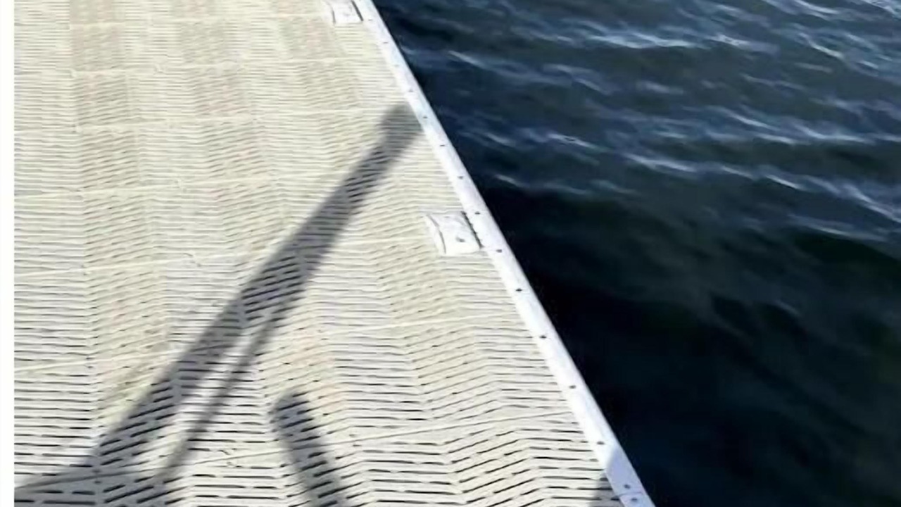 Photo of Others in Clear Lake