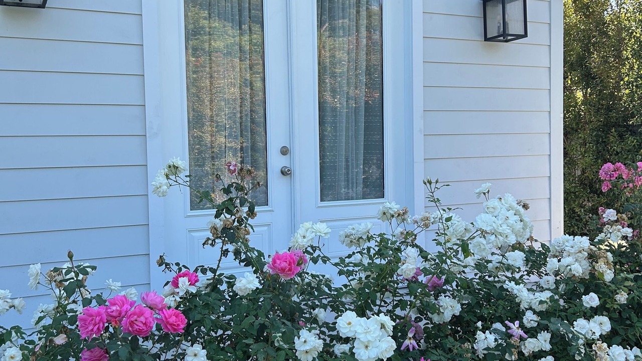 Photo of Outdoor in Brentwood