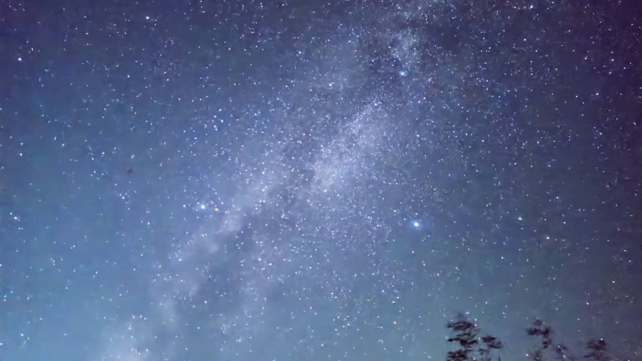 Photo of Others in Yosemite Forks