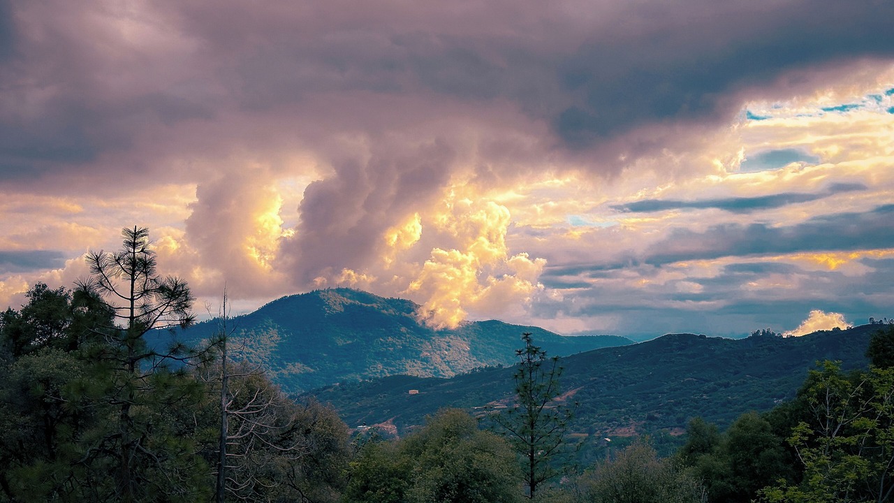 Photo of Others in Yosemite Forks