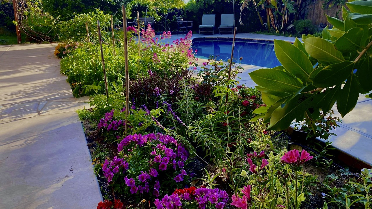 Photo of Outdoor in Del Mar Heights