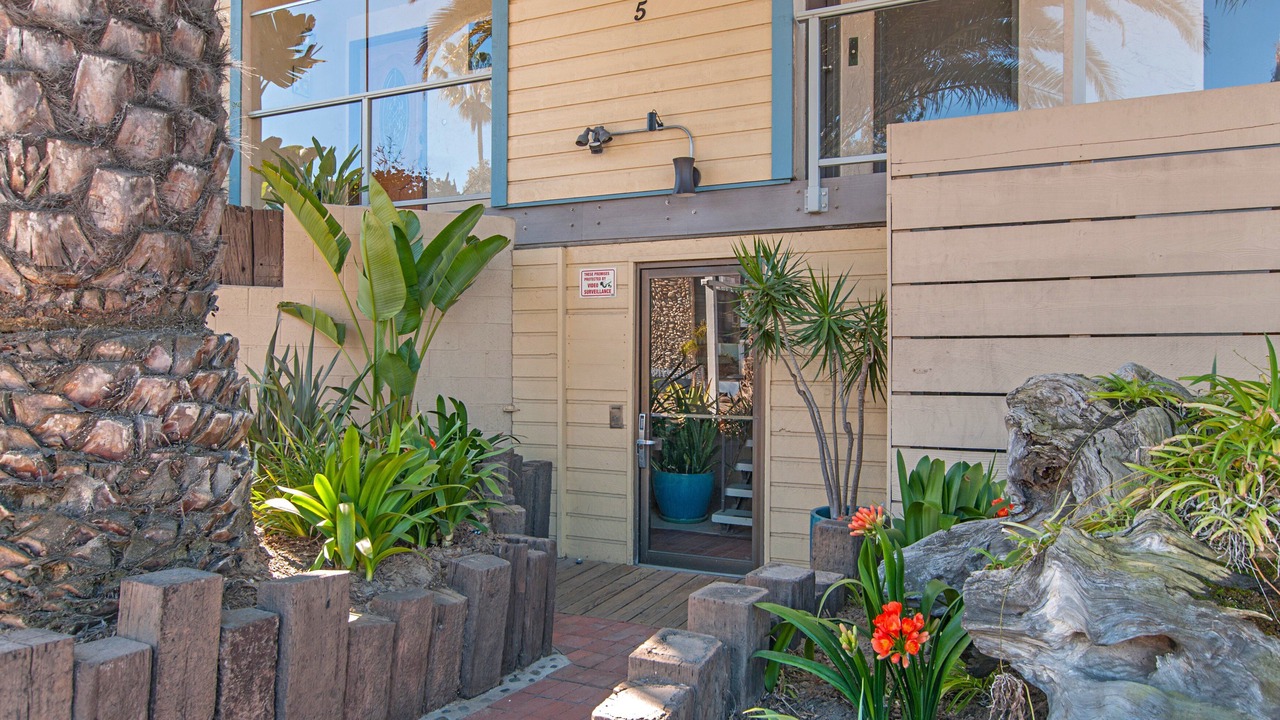 Photo of Outdoor in South Mission Beach