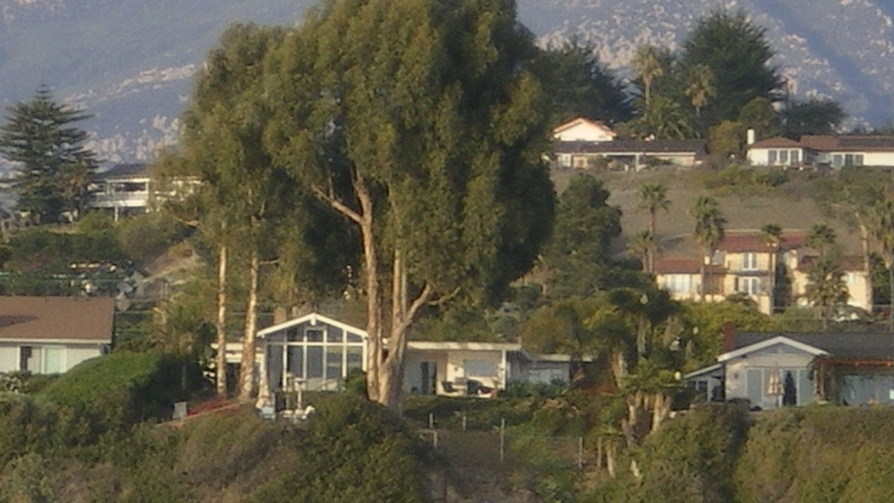 Photo of Others in The Mesa
