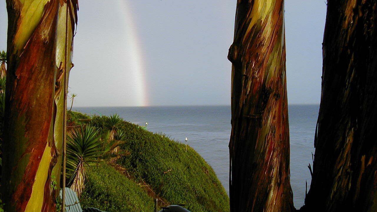Photo of Outdoor in The Mesa