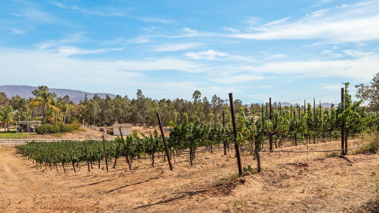 Photo of Others in Temecula