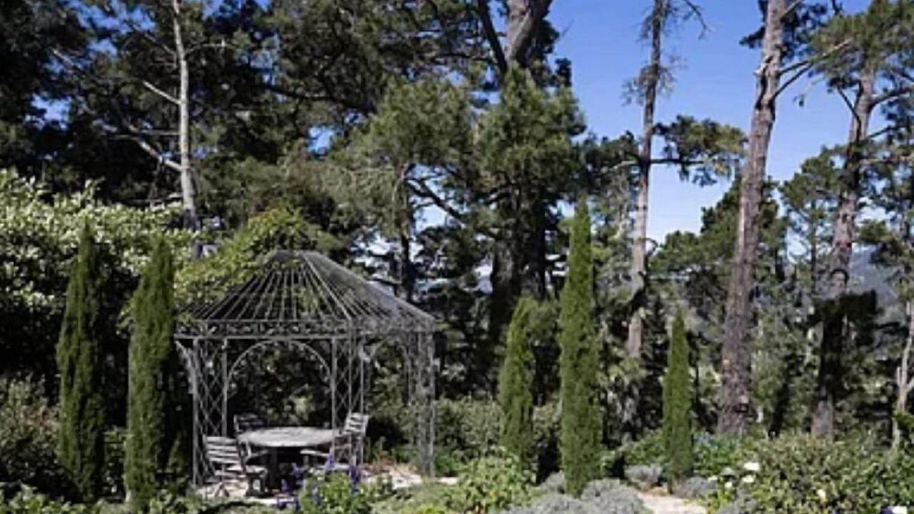 Photo of Outdoor in Carmel