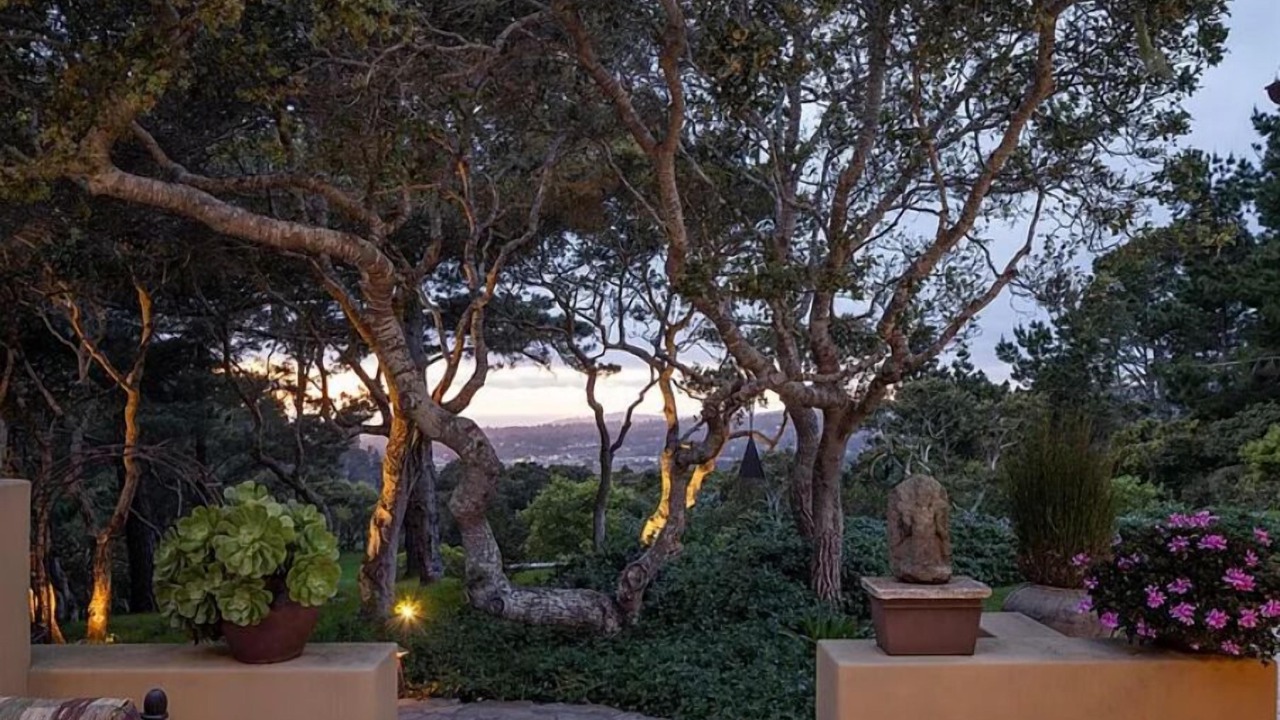 Photo of Outdoor in Carmel