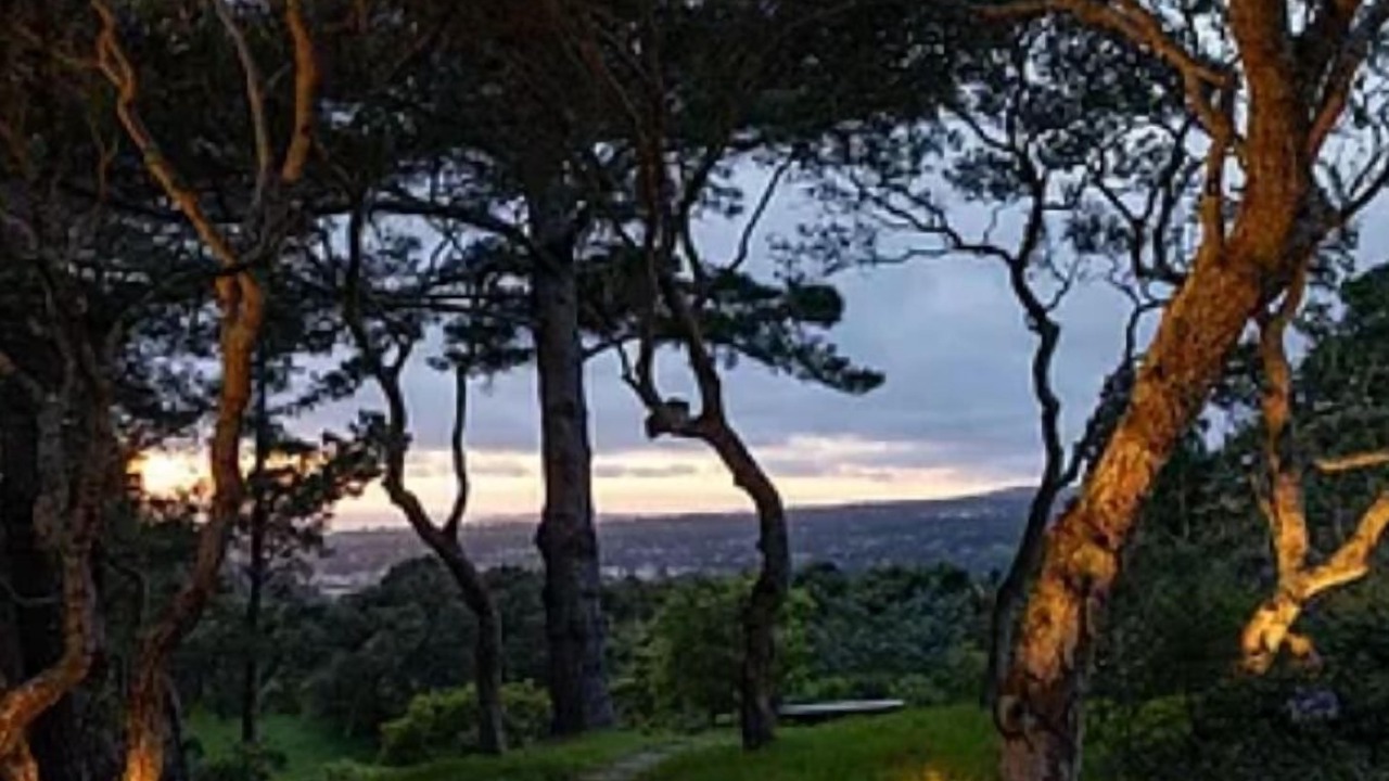 Photo of Outdoor in Carmel