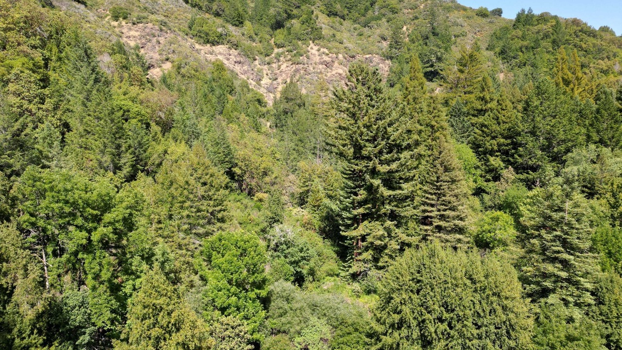 Photo of Others in Guerneville
