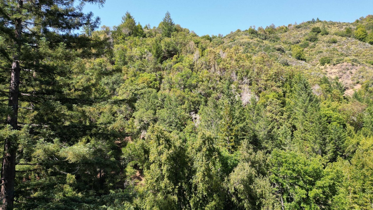 Photo of Others in Guerneville