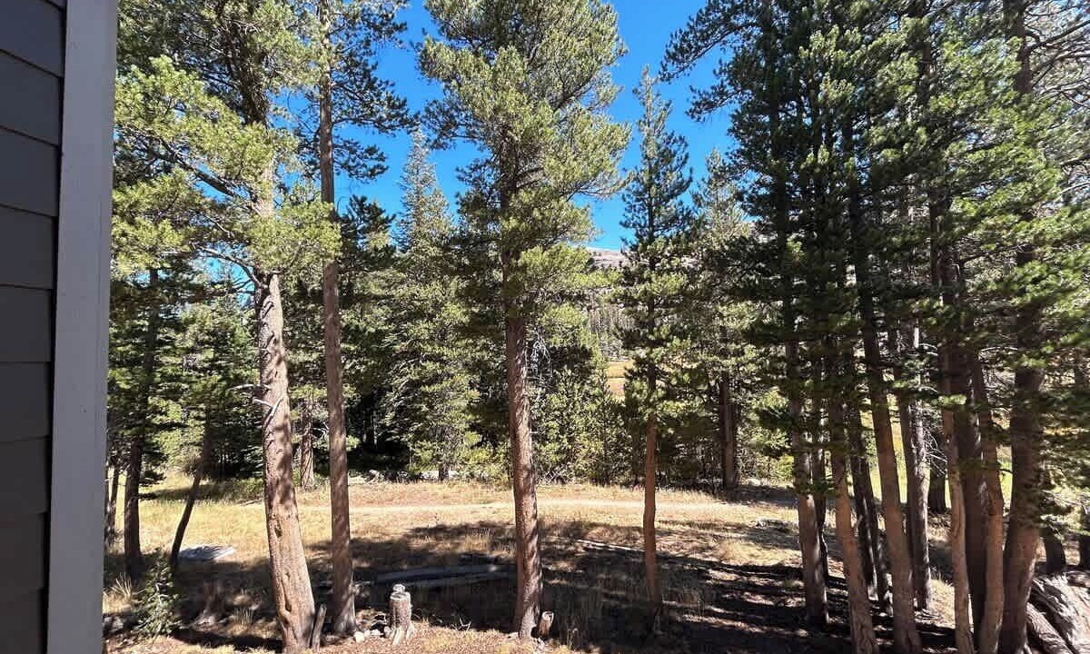 Photo of Outdoor in Kirkwood
