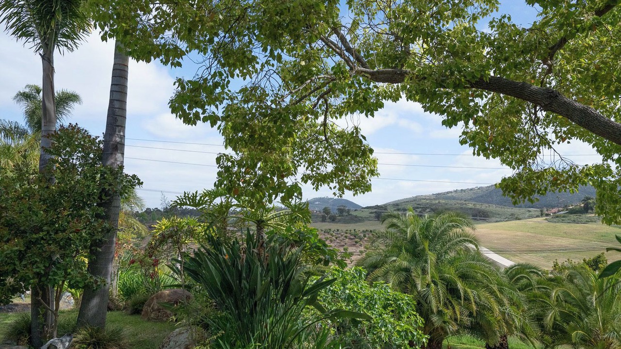 Photo of Others in Rancho Santa Fe