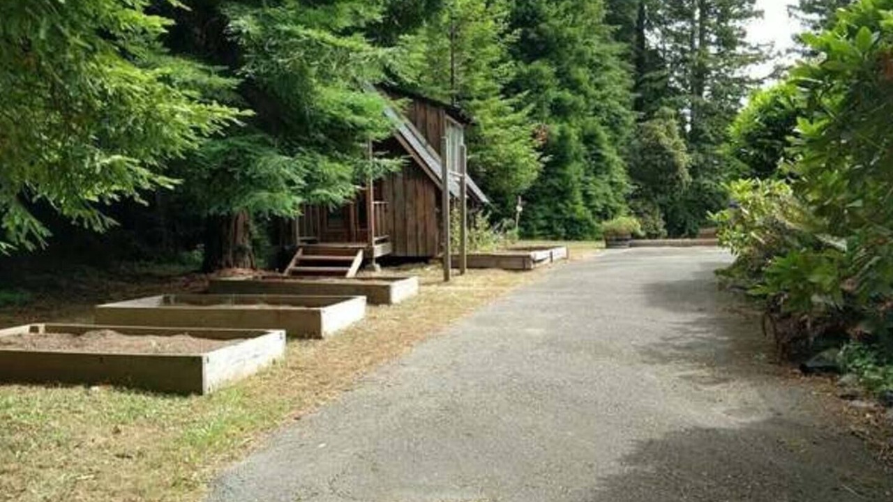 Photo of Outdoor in Arcata