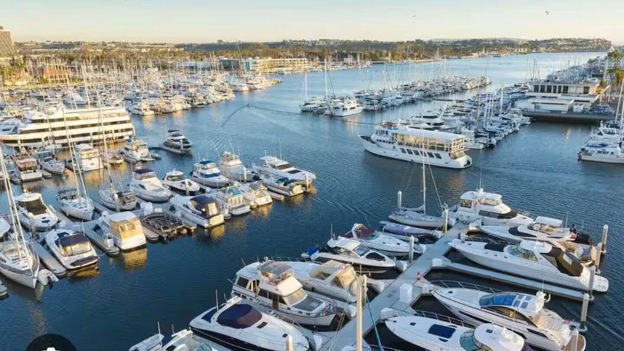 Photo of Others in Del Rey