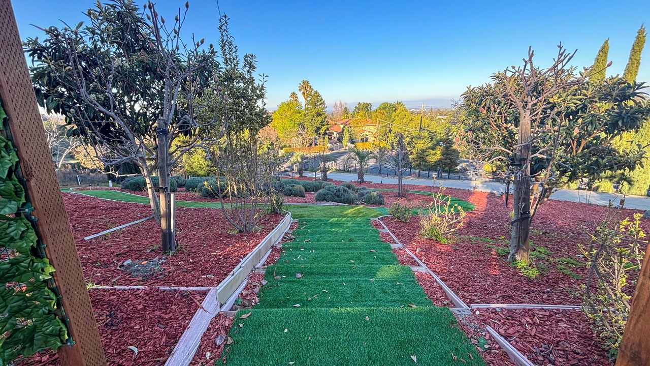 Photo of Outdoor in Los Altos Hills