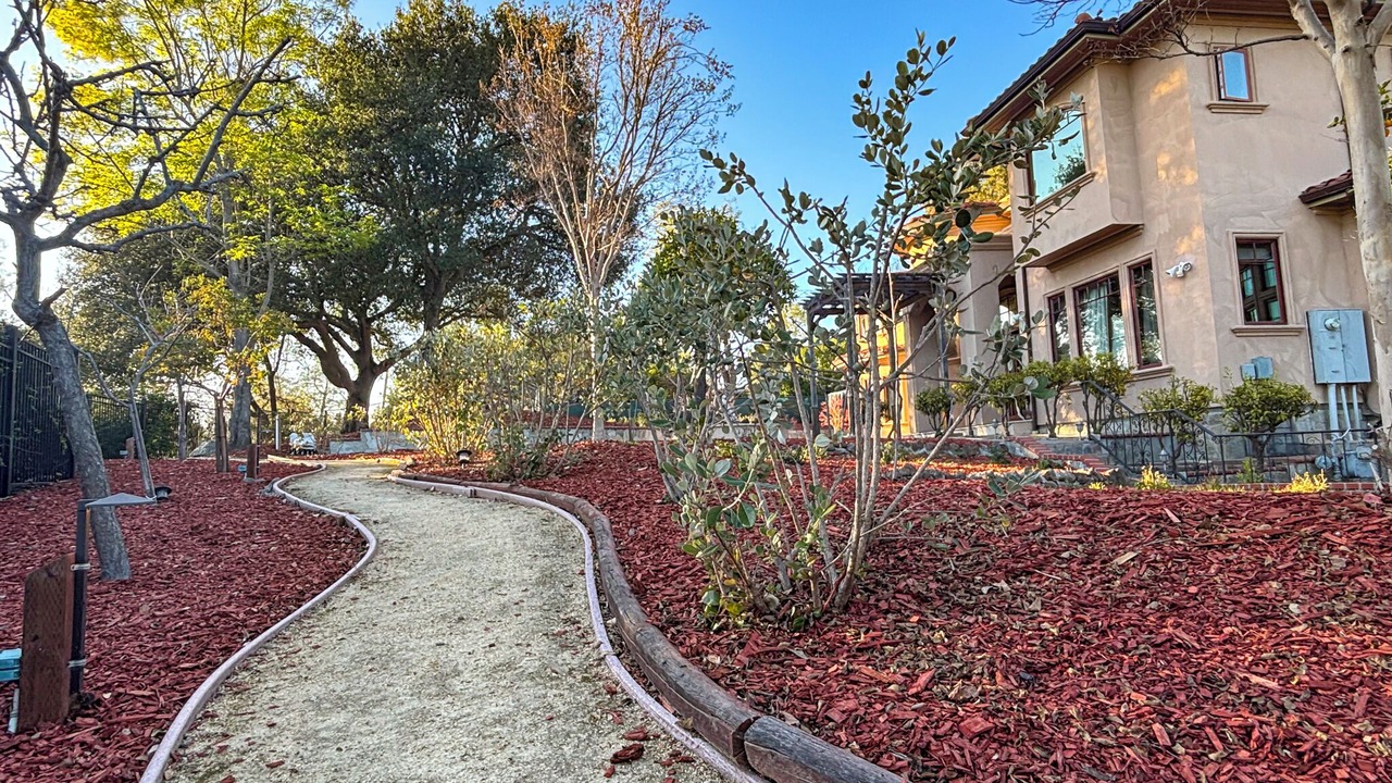 Photo of Outdoor in Los Altos Hills