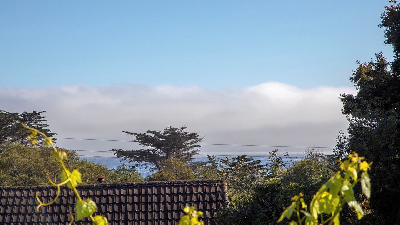 Photo of Others in Stinson Beach