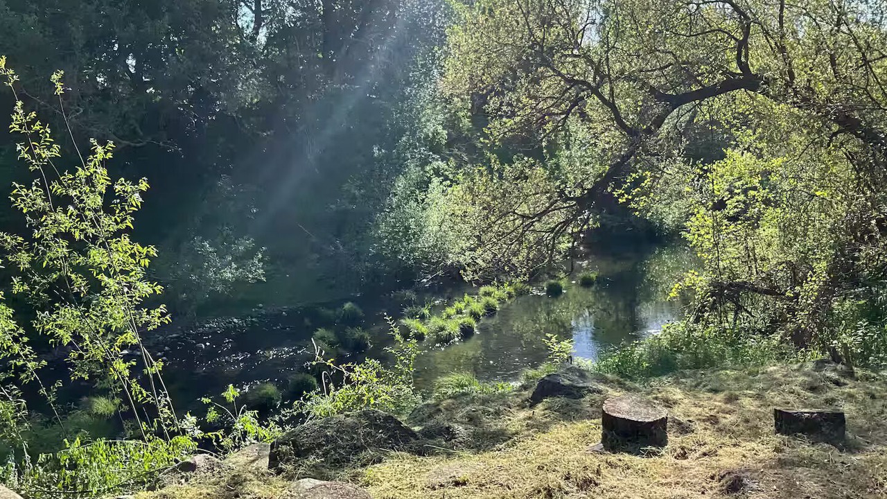 Photo of Outdoor in Sonoma
