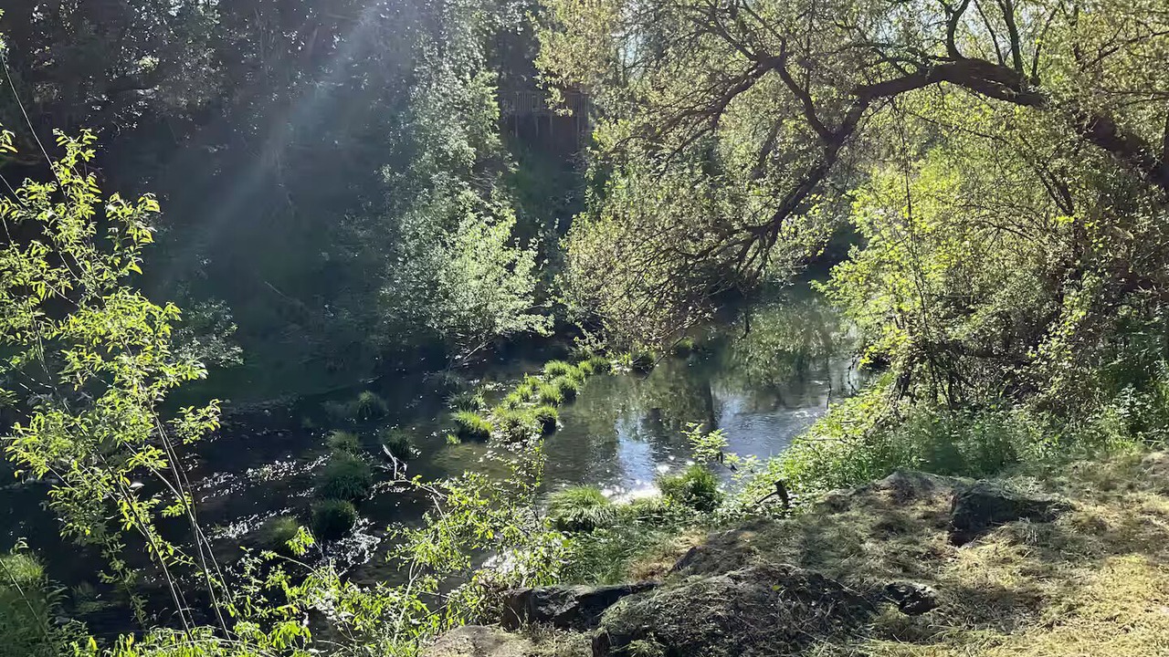 Photo of Others in Sonoma
