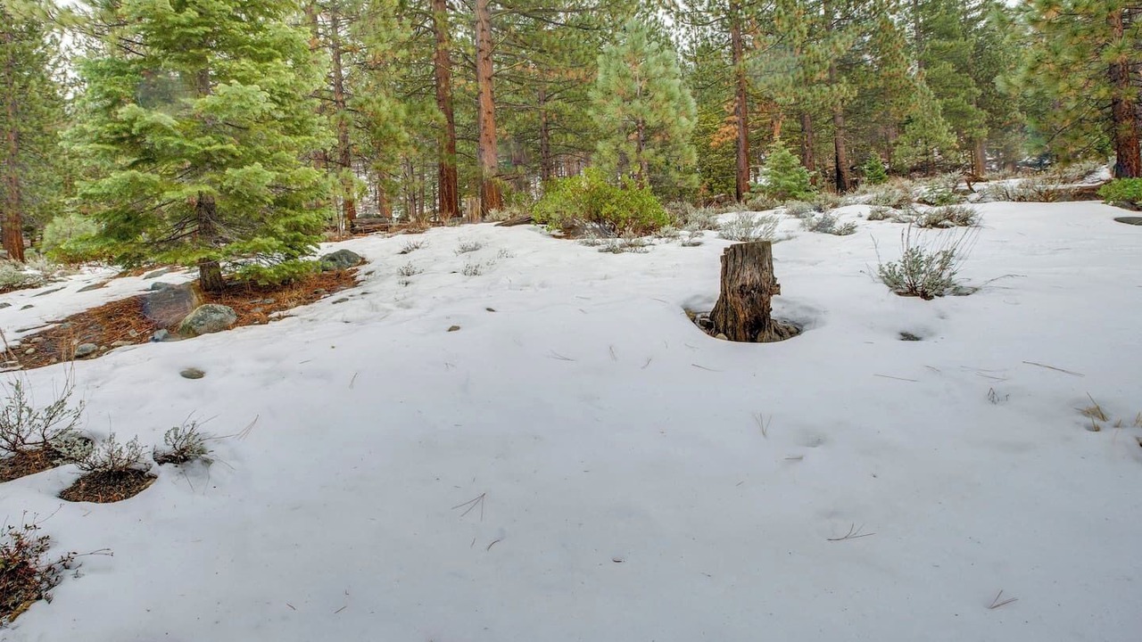Photo of Others in Christmas Valley
