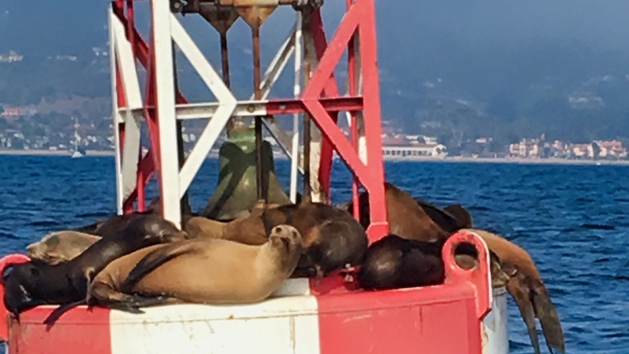 Photo of Others in East Beach