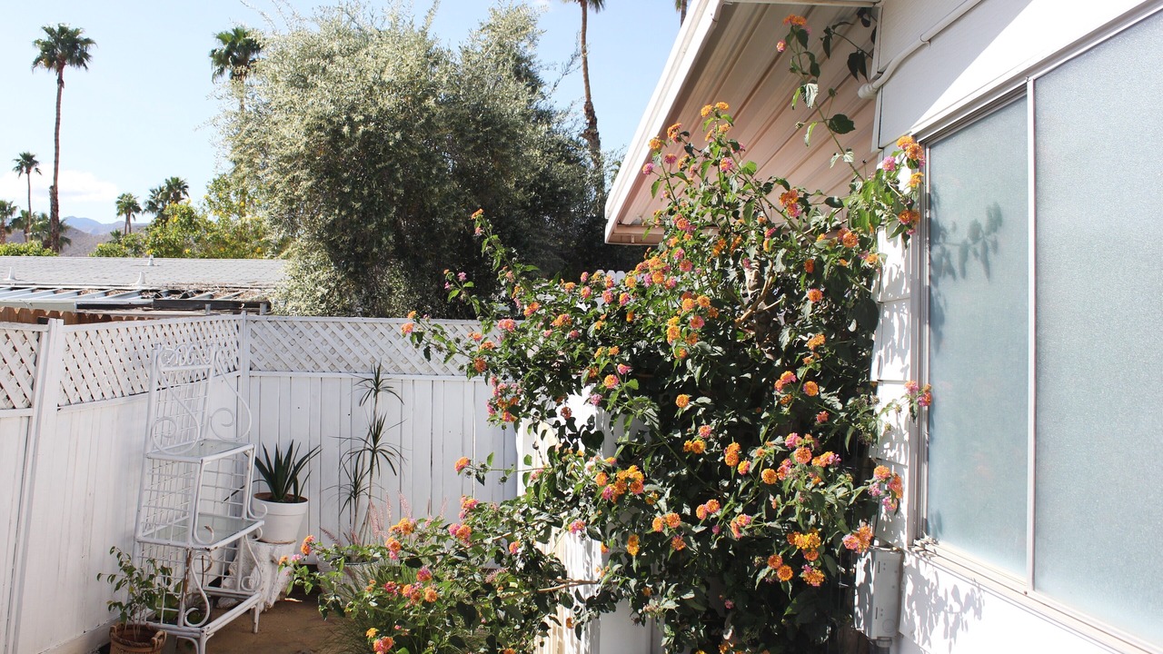 Photo of Patio Balcony in Palm Desert
