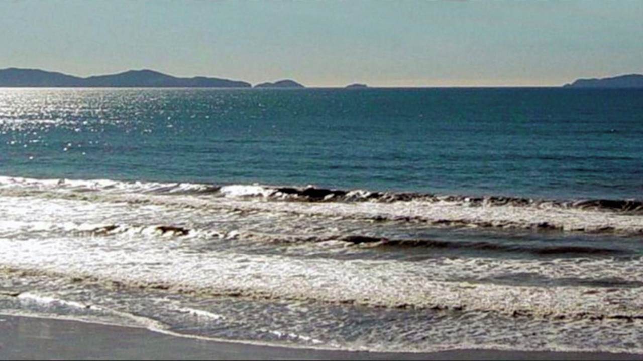 Photo of Others in Coronado