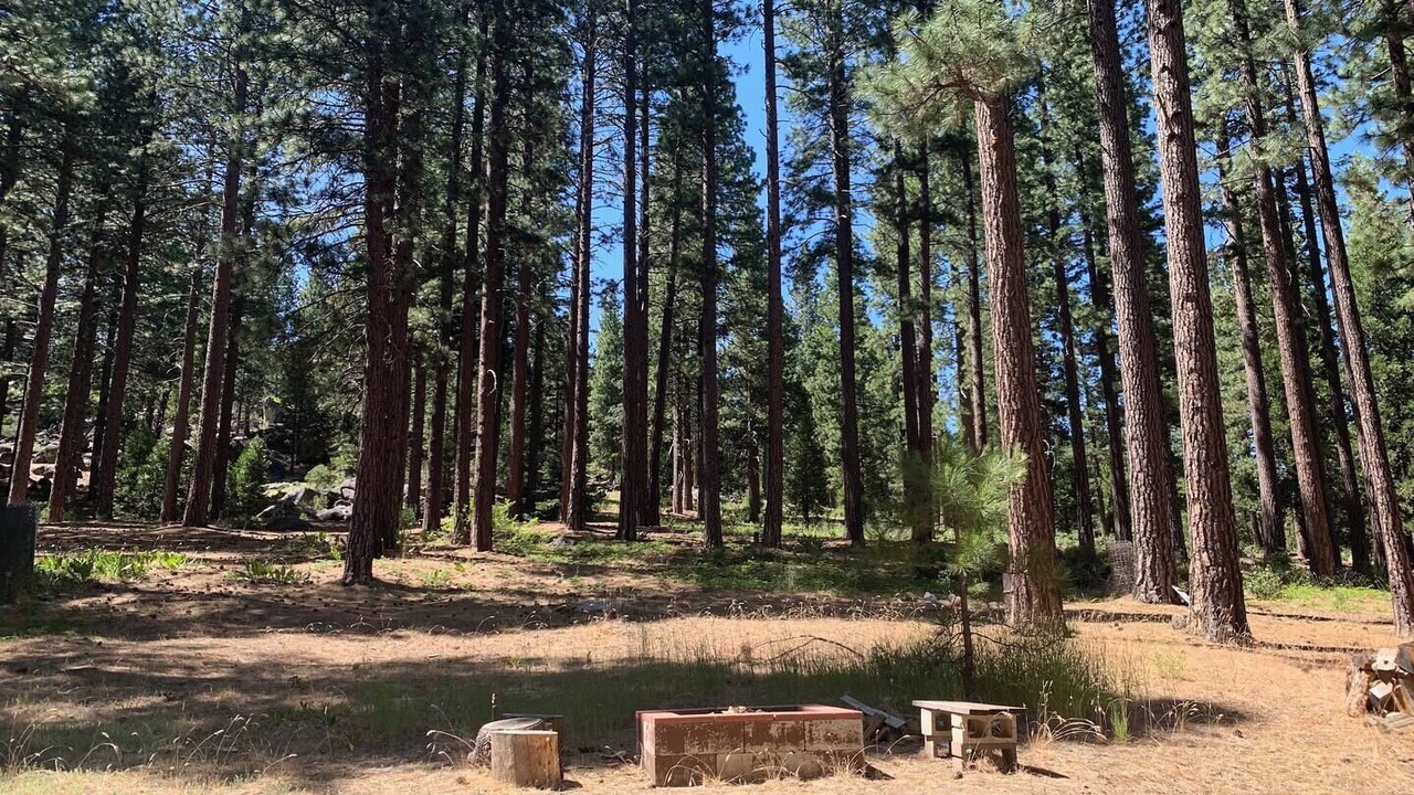 Photo of Outdoor in Calpine