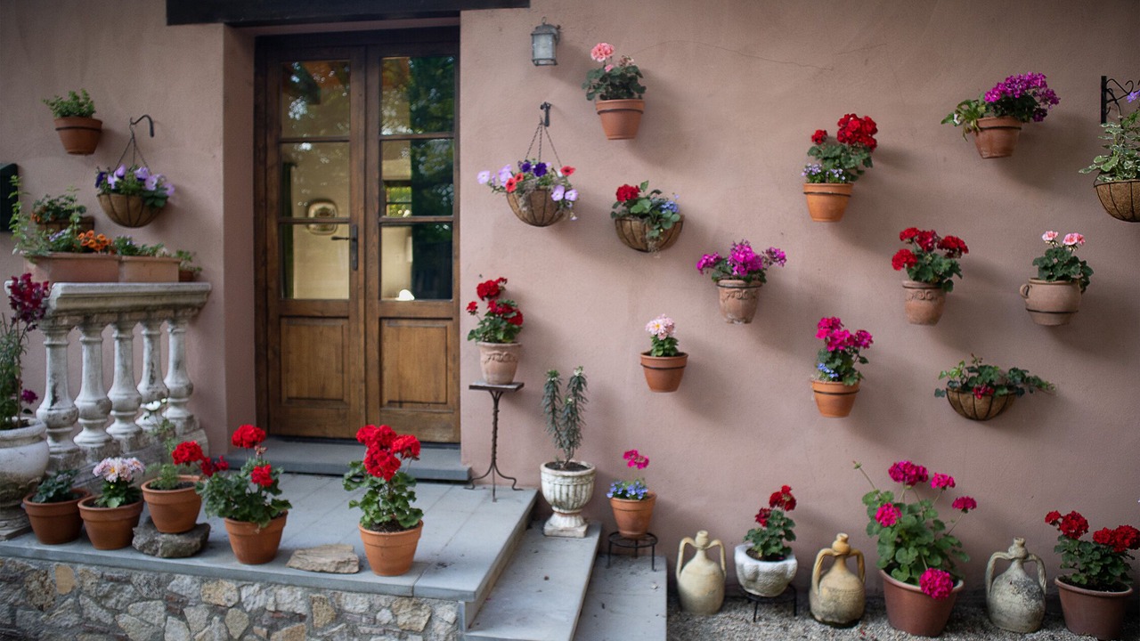 Photo of Outdoor in Sonoma